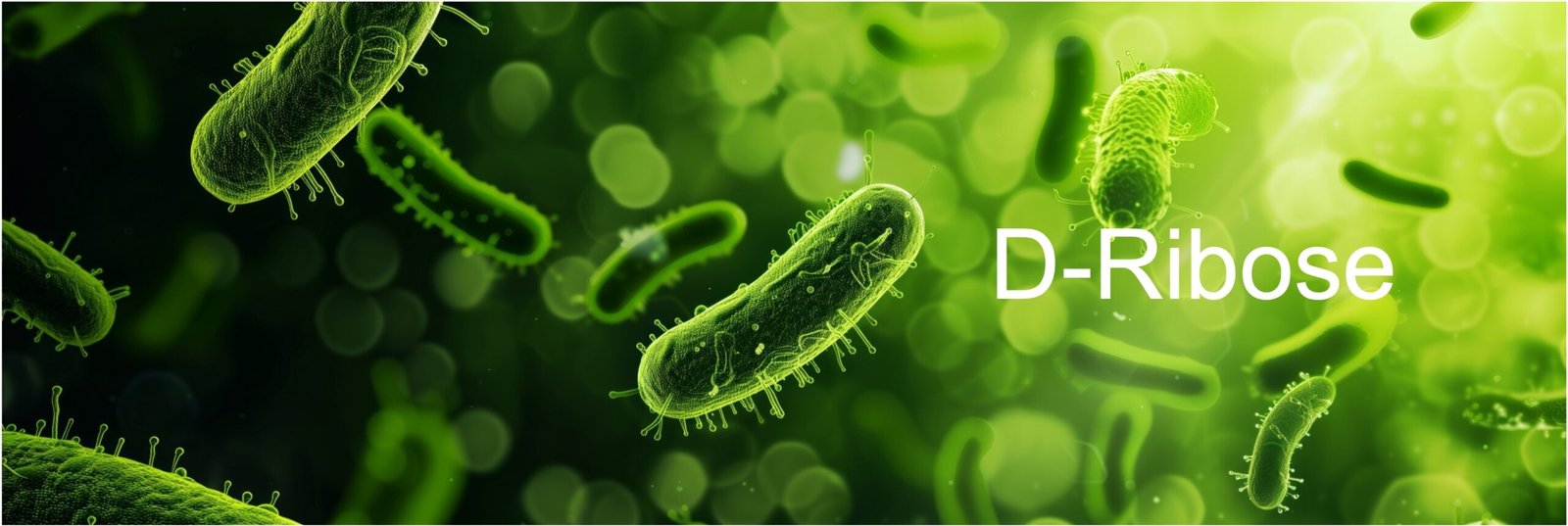 D-Ribose D-Ribose