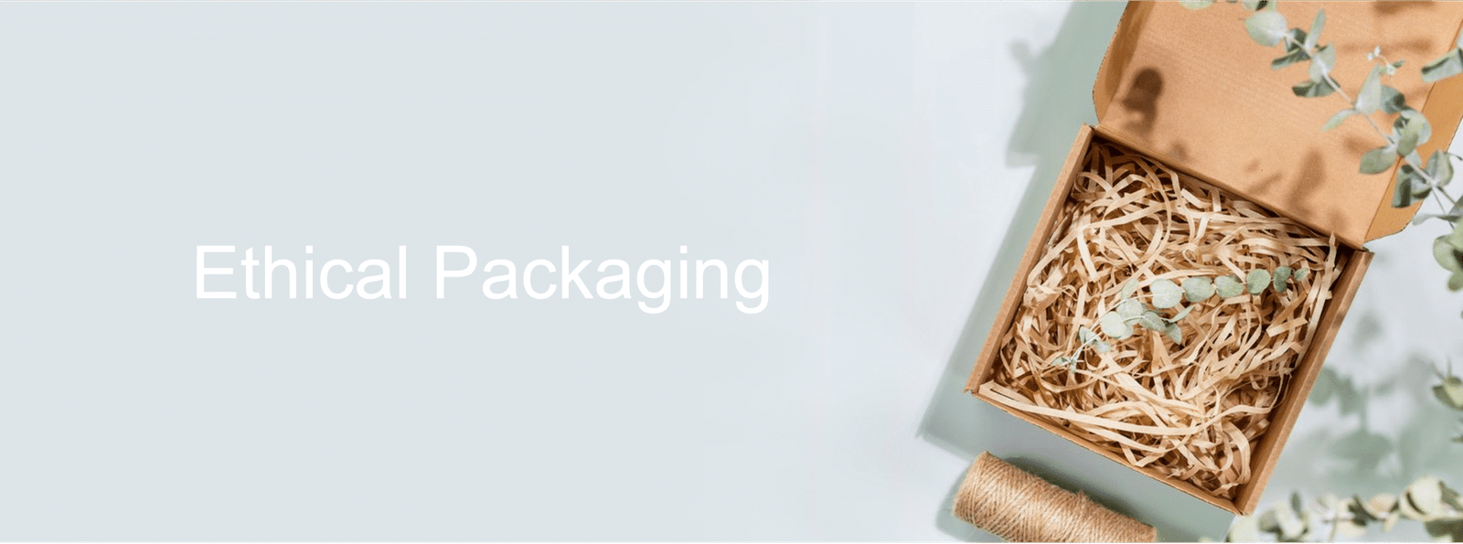 Ethical Packaging