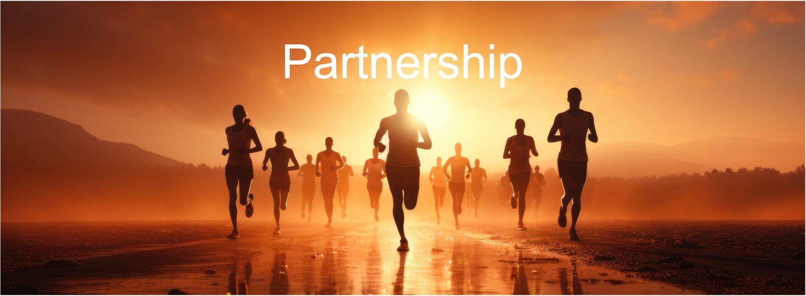 Partner With Us