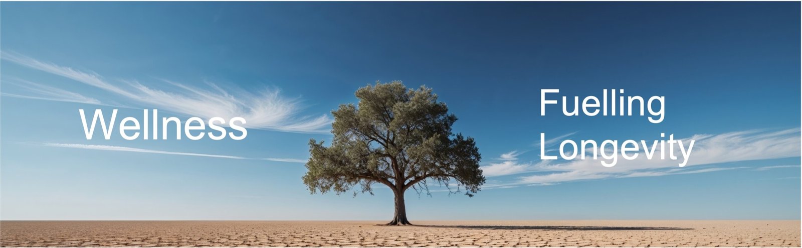 Fuelling Longevity: Tips for a Longer, Healthier Life