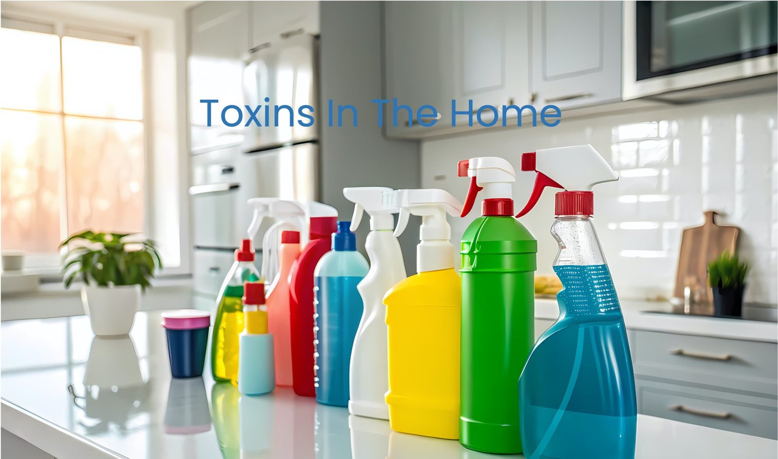 Toxins In The Home
